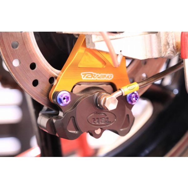 画像28: T2Racing制作 HONDA NSR250R MC21 【 ADVANCE　’99　宇川徹　レプリカ 】 フルカスタム車両 