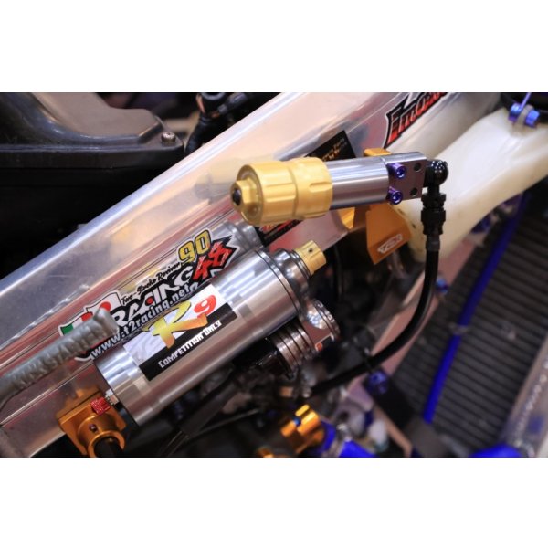 画像26: T2Racing制作 HONDA NSR250R MC21 【 ADVANCE　’99　宇川徹　レプリカ 】 フルカスタム車両 