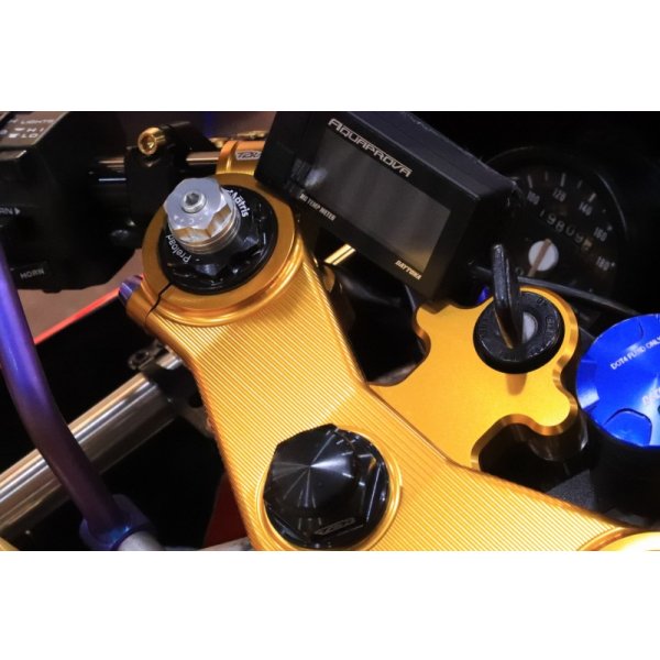 画像22: T2Racing制作 HONDA NSR250R MC21 【 ADVANCE　’99　宇川徹　レプリカ 】 フルカスタム車両 