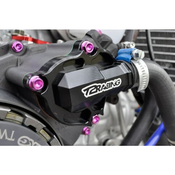 画像14: デストラ ウォーターポンプカバー 