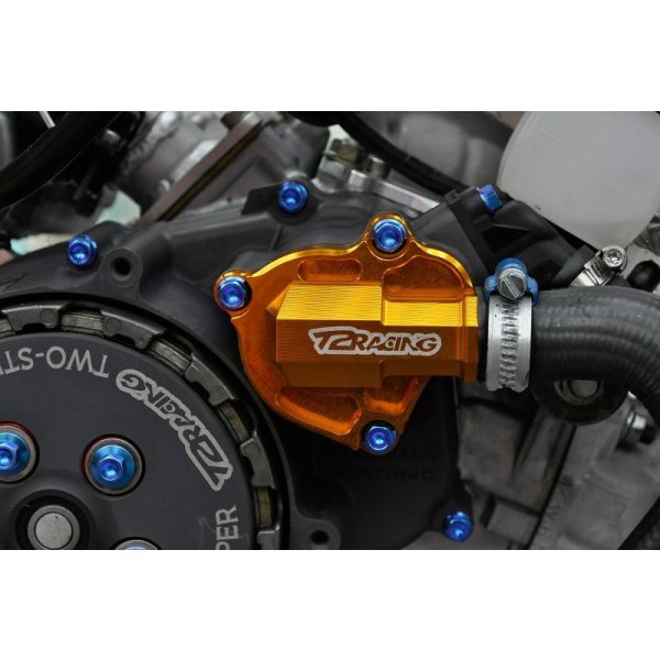 画像16: デストラ ウォーターポンプカバー 