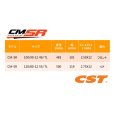 画像4: CST製 CM-SR ミニバイク用タイヤ 【 １２インチ 】 (4)
