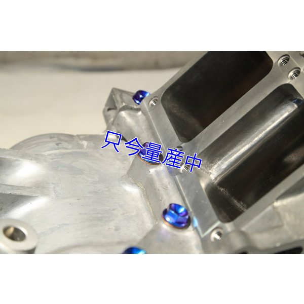 画像12: チタンクランクケースボルトセット 