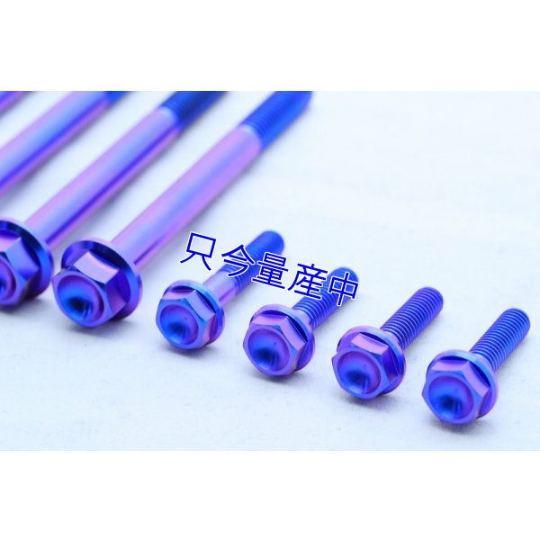 画像3: チタンクランクケースボルトセット 