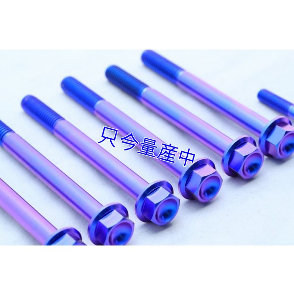 画像5: チタンクランクケースボルトセット 