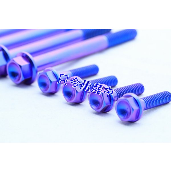 画像4: チタンクランクケースボルトセット 