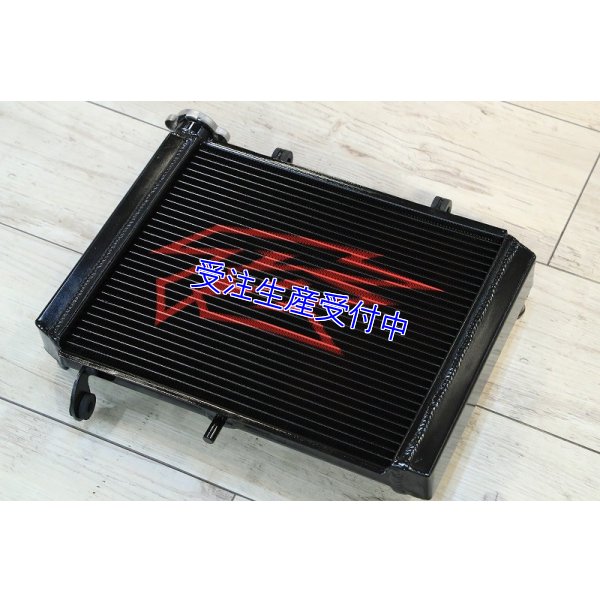 画像3: １層 ラジエター  Painted 【 MC18 】