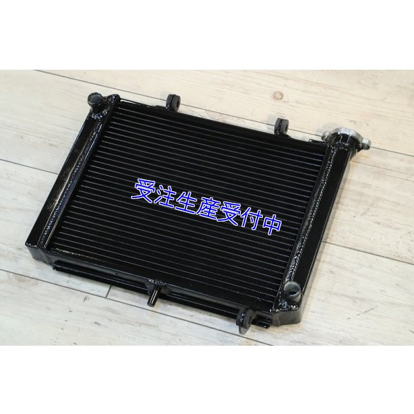 画像6: １層 ラジエター  Painted 【 MC18 】