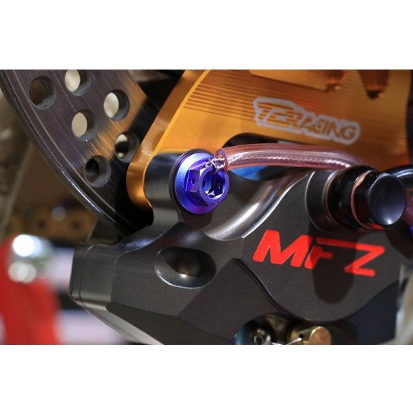 画像9: ブレンボ等Rキャリパーボルト  【 M8 × 20 】