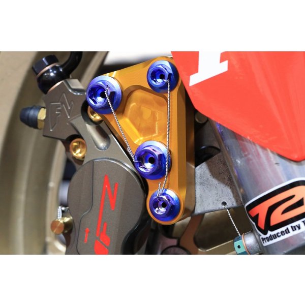 画像8: ブレンボ等Fキャリパーボルト  【 M10 × 25 】