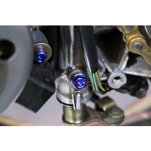 画像8: クラッチレリーズボルト 【 全年式 】