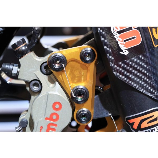 画像12: ブレンボ等Fキャリパーボルト  【 M10 × 25 】