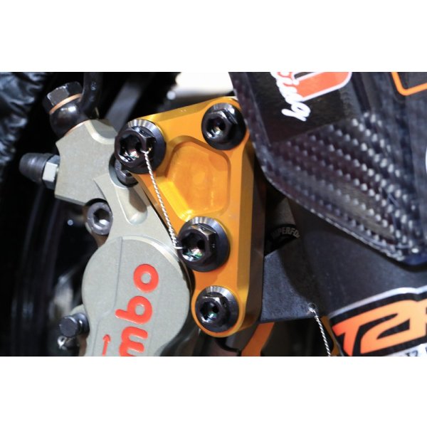 画像11: ブレンボ等Fキャリパーボルト  【 M10 × 25 】