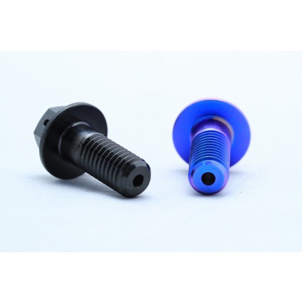 画像6: ブレンボ等Rキャリパーボルト  【 M8 × 20 】