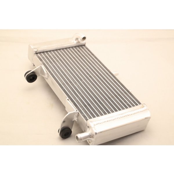 画像5:  NS50R　レーシングラジエター