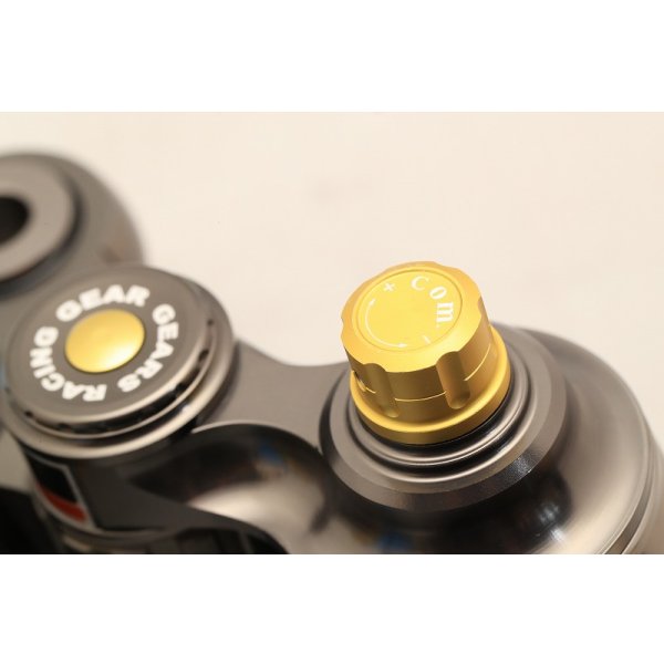 画像9: GEARS製 ピギーバックタイプ スペシャルサスペンション【 MC21・28 】