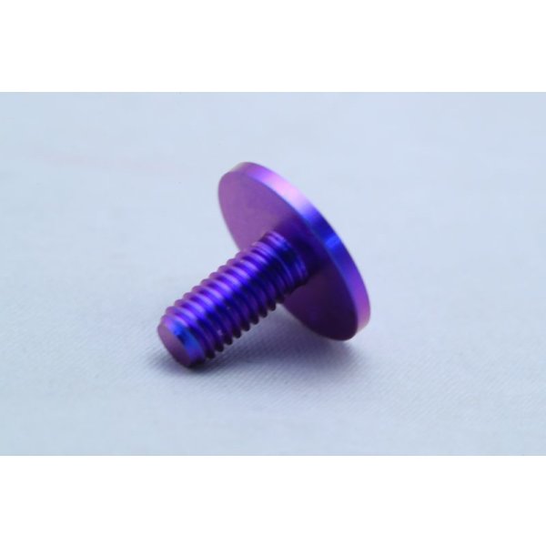 画像6: チタンカウルボルト