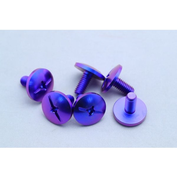 画像9: チタンカウルボルト