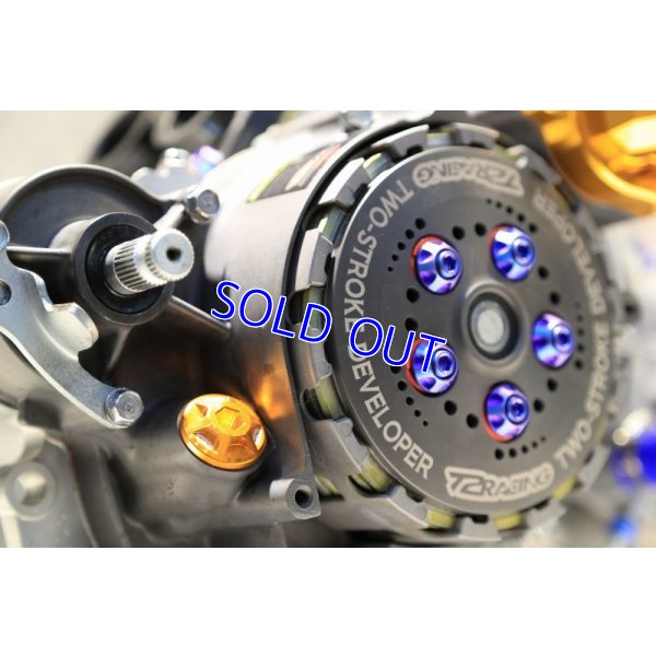 画像13: T2Racing制作 乾式 コンプリートエンジン 【 300cc 】