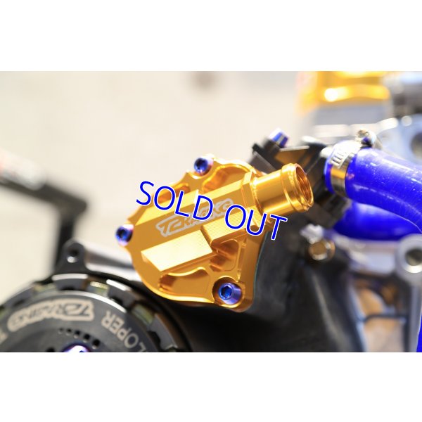 画像12: T2Racing制作 乾式 コンプリートエンジン 【 300cc 】