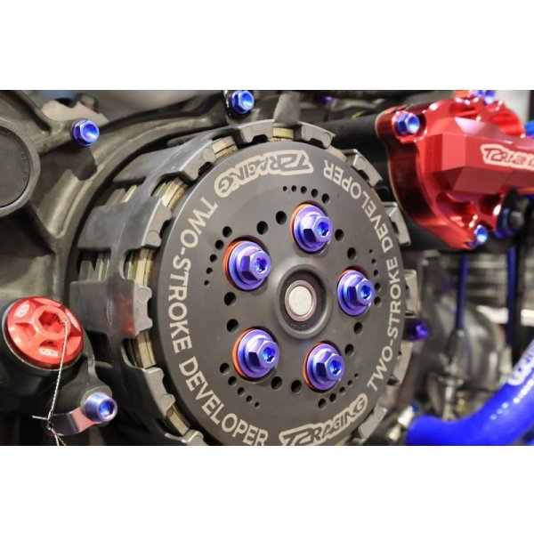 画像17: T2R製 デストラボルトセット 【 乾式エンジン用 】（ T2ウォーターポンプカバー用 ）