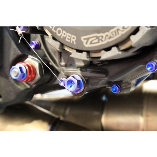 画像19: T2R製 デストラボルトセット 【 乾式エンジン用 】（ T2ウォーターポンプカバー用 ）