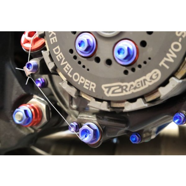 画像11: T2R製 オイルドレンボルト 【 全年式 】