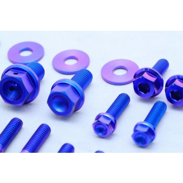 画像6: T2R製 デストラボルトセット 【 乾式エンジン用 】（ T2ウォーターポンプカバー用 ）