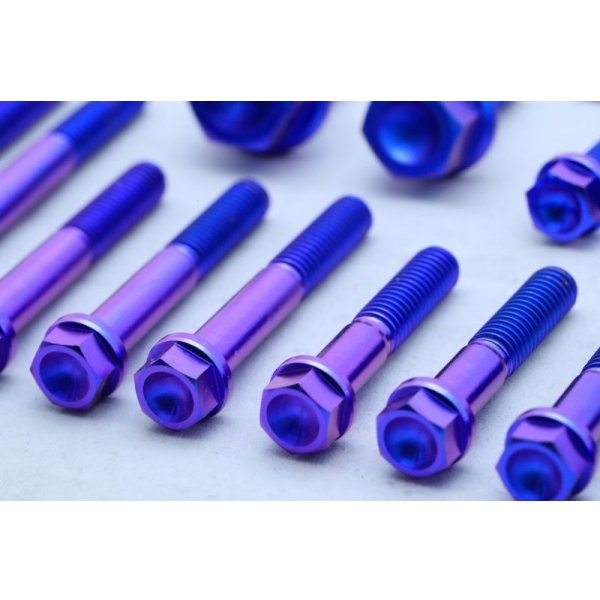 画像3: T2R製 デストラボルトセット 【 乾式エンジン用 】（ T2ウォーターポンプカバー用 ）