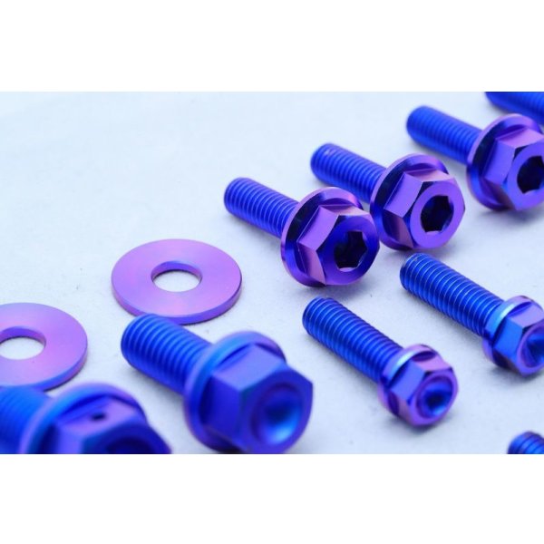 画像5: T2R製 デストラボルトセット 【 乾式エンジン用 】（ T2ウォーターポンプカバー用 ）