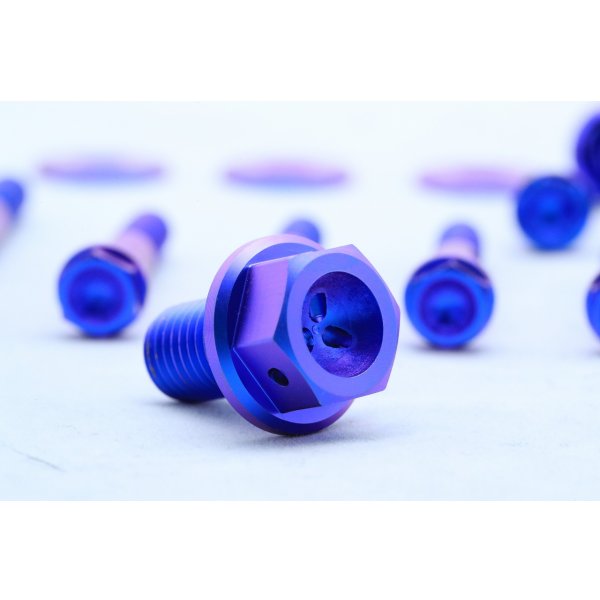 画像11: T2R製 デストラボルトセット 【 乾式エンジン用 】（ T2ウォーターポンプカバー用 ）