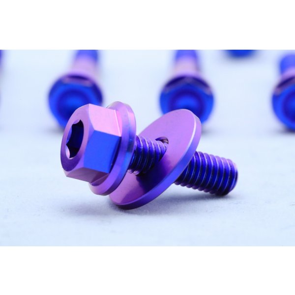 画像10: T2R製 デストラボルトセット 【 乾式エンジン用 】（ T2ウォーターポンプカバー用 ）