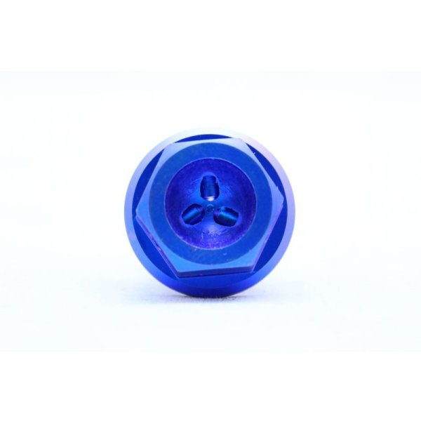 画像5: T2R製 オイルドレンボルト 【 全年式 】