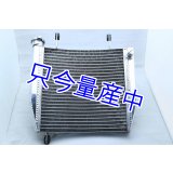 RS125 レーシングラジエター 