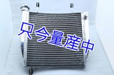 RS125 レーシングラジエター 