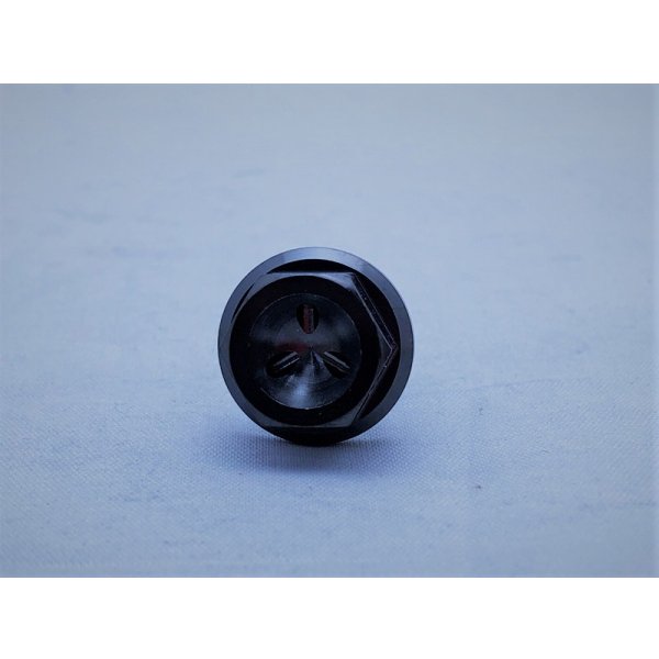 画像10: T2R製 オイルドレンボルト 【 全年式 】