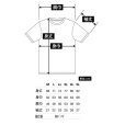 画像2: T2RオリジナルドライメッシュTEEシャツ [ 2023 ]  (2)