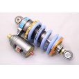 画像1: GEARS 製 リアサスペンション 【 NSR mini / NSF 100 】 (1)