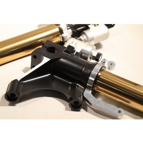 画像18: Special ボトムケース【 NXA 】