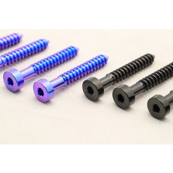 画像6: サーボチタンボルト