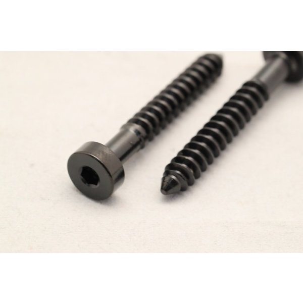 画像9: サーボチタンボルト