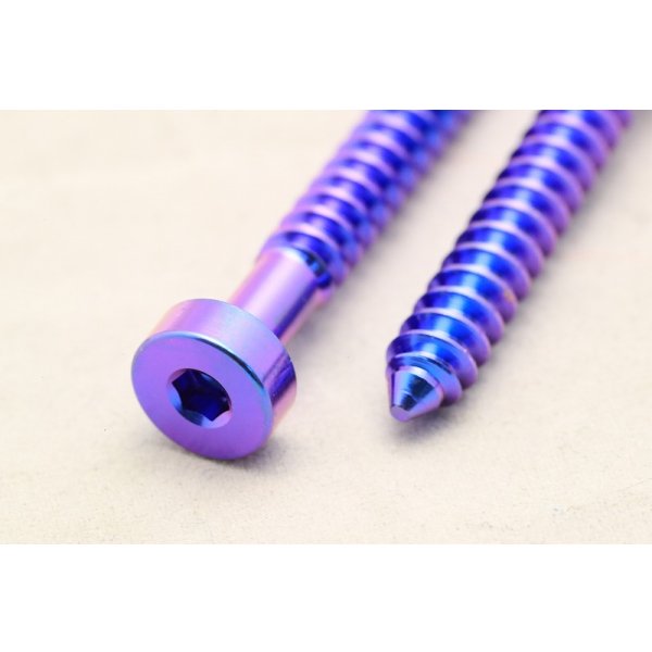 画像8: サーボチタンボルト