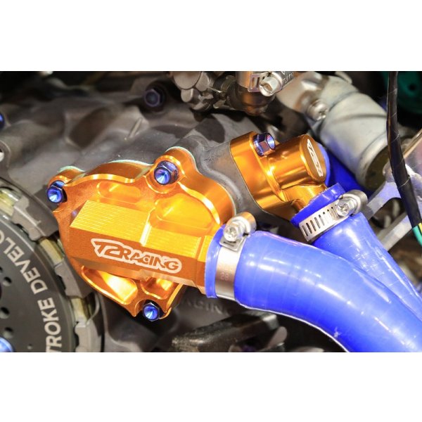 画像18: デストラ ウォーターポンプカバー 