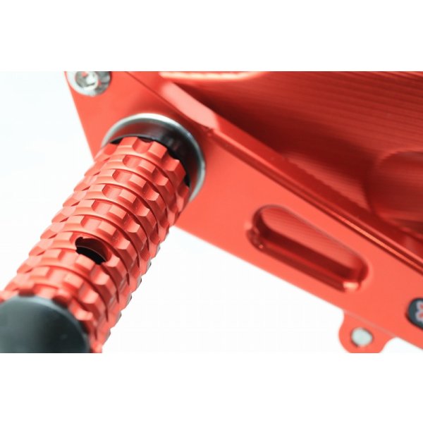 画像12: バックステップキット 【 MC21 】