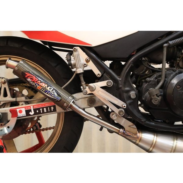 画像6: 大阪SAM-R × T2-R コラボ　RZ250R用 ステンレス 左右出しチャンバー 【 RACE 】