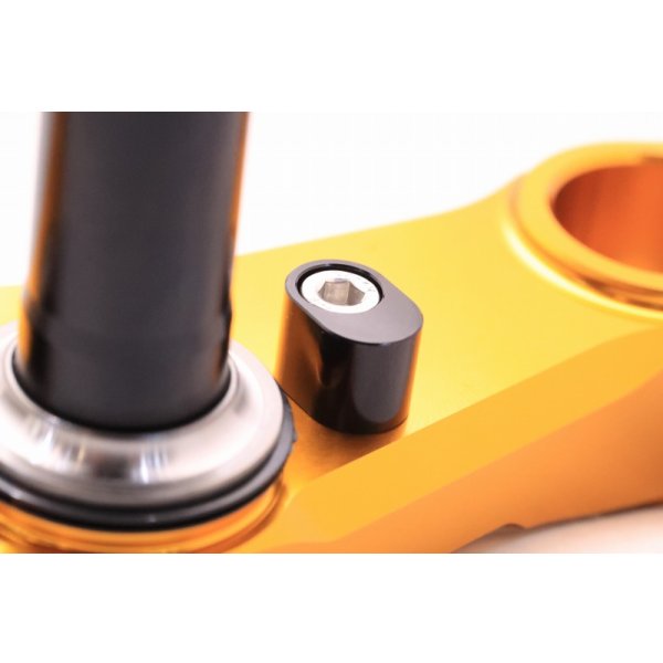 画像10: ステム【 NSRmini・NSF100 】