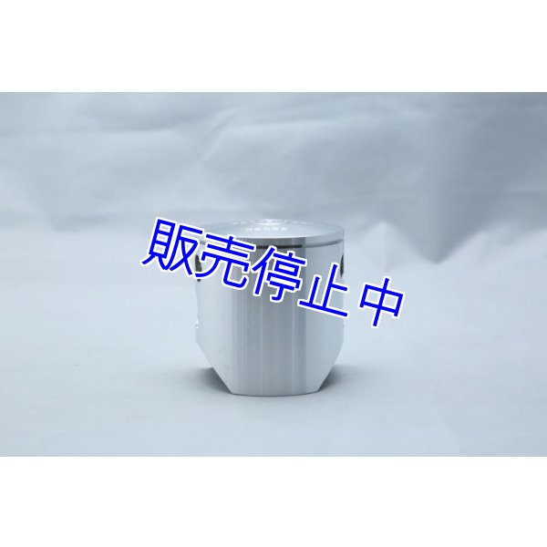 画像2: Vertex Tsukuba 補修用 ピストンキット (2)