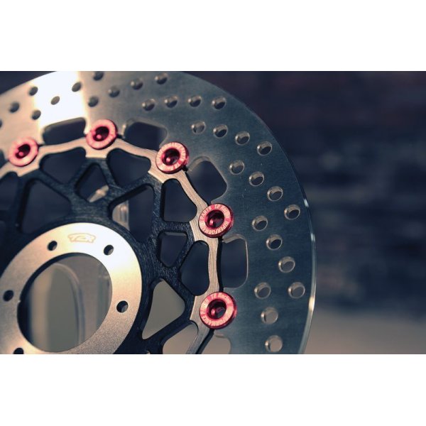ワークスブレーキローター 296mm タイプ 【シングルディスク