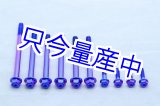 画像: チタンクランクケースボルトセット 