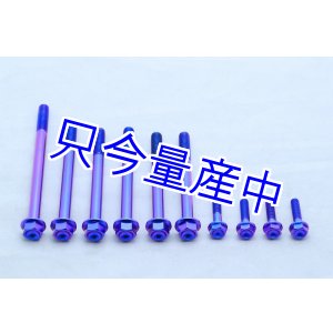 画像: チタンクランクケースボルトセット 